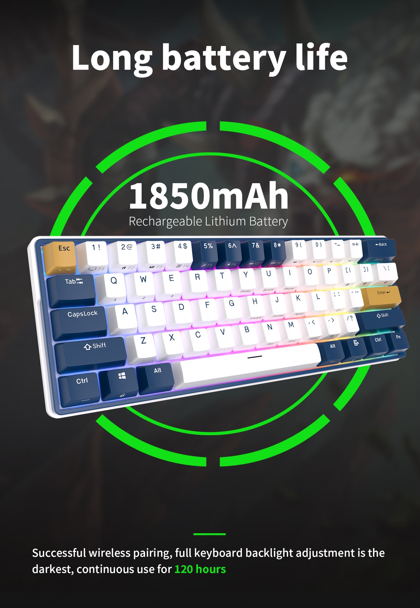 Royal Kludge RK61 Plus Tri Mode - Mechanisch RGB Gaming Toetsenbord met 61 Keys - 60% Lay-out