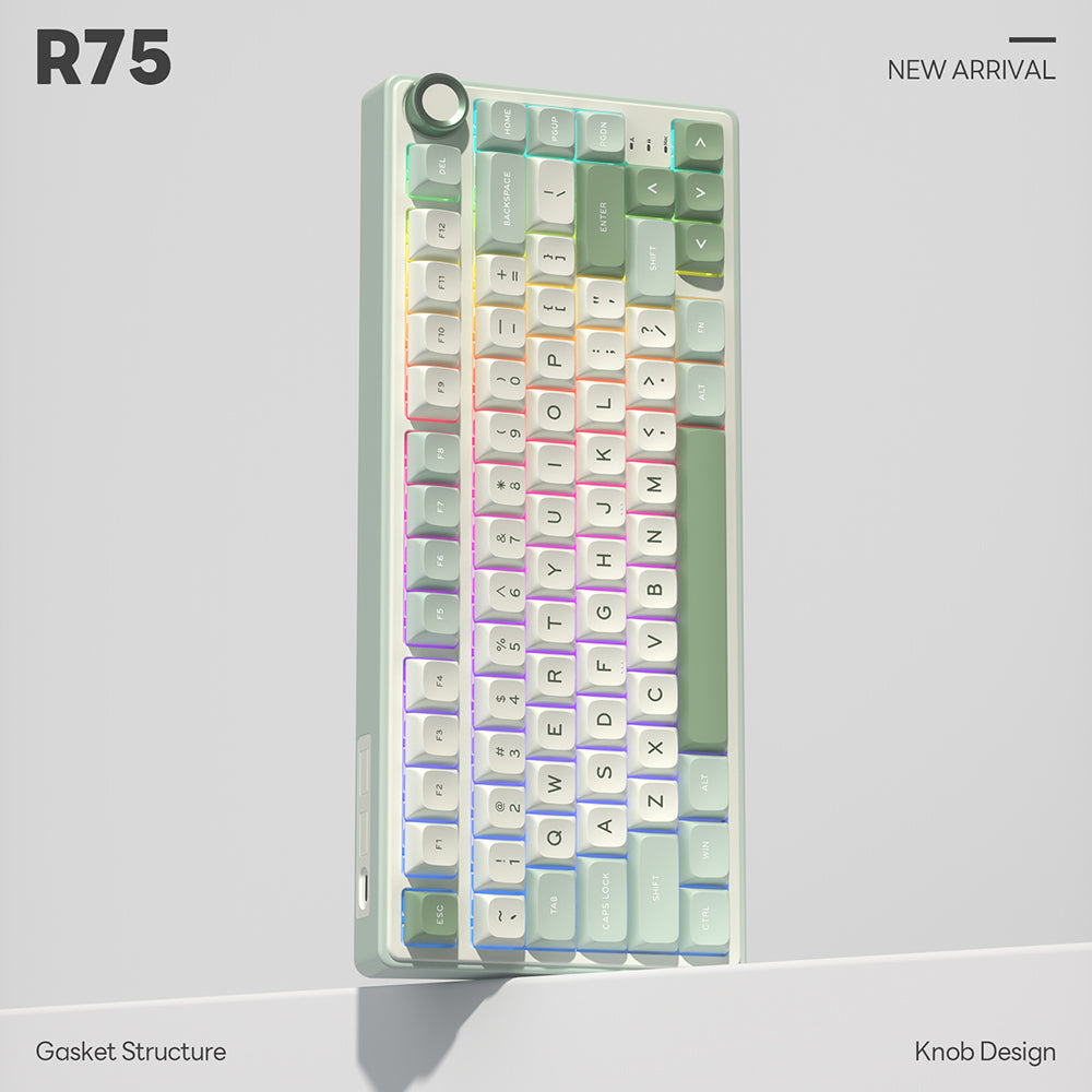 Royal Kludge RKR75 - Mechanisch RGB Gaming Toetsenbord - Foam Touch- Inclusief Stofkap