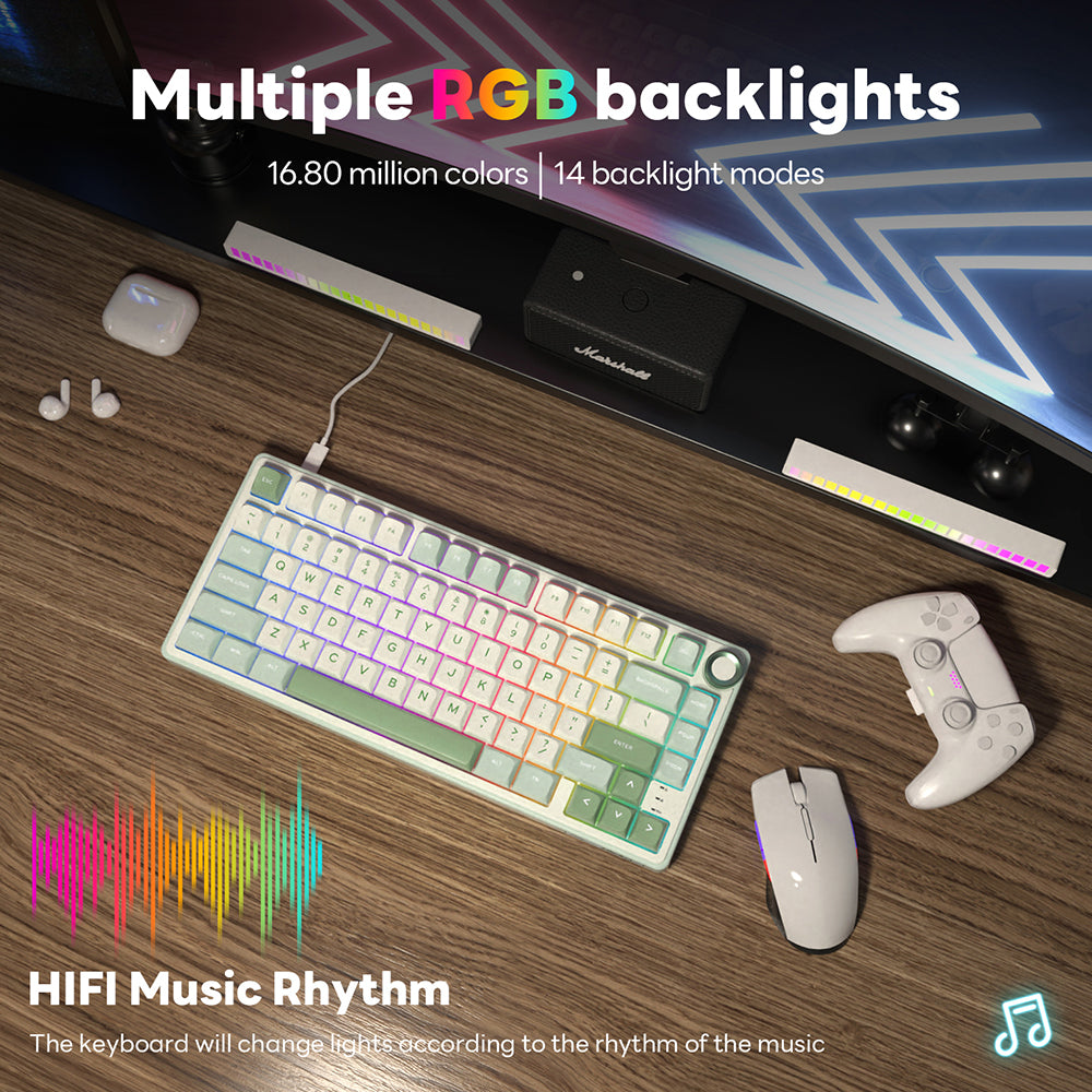 Royal Kludge RKR75 - Mechanisch RGB Gaming Toetsenbord - Foam Touch- Inclusief Stofkap