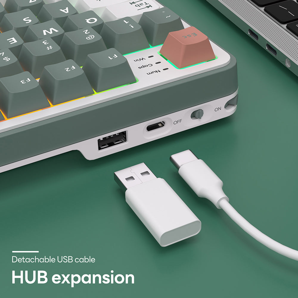 Royal Kludge RKS98 - Mechanisch Gaming Toetsenbord - Met Display - Inclusief Stofkap