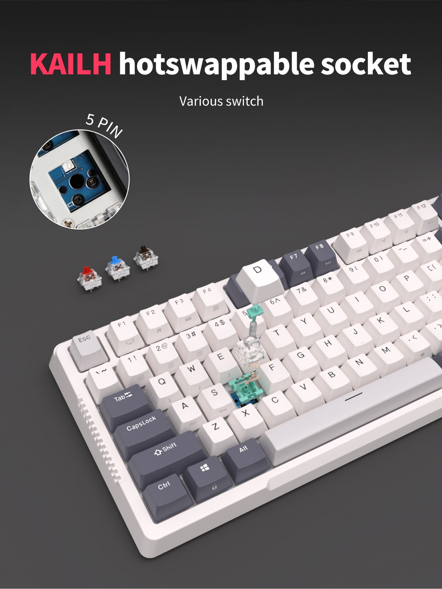 Royal Kludge RKH81 - Mechanisch Gaming Toetsenbord - Met Knob