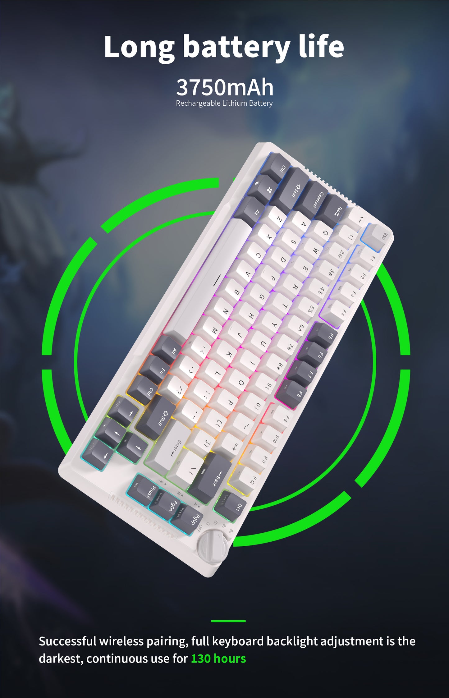 Royal Kludge RKH81 - Mechanisch Gaming Toetsenbord - Met Knob