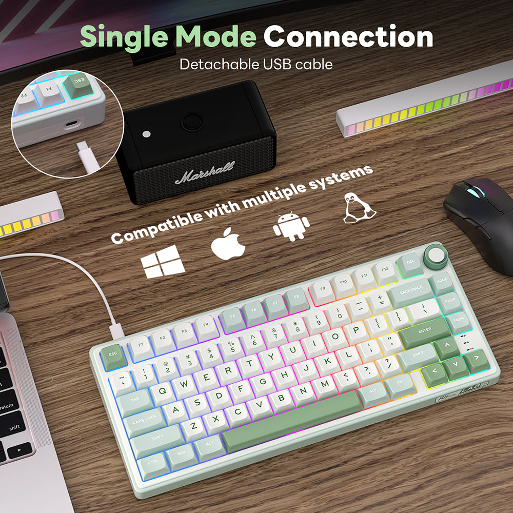 Royal Kludge RKR75 - Mechanisch RGB Gaming Toetsenbord - Foam Touch- Inclusief Stofkap