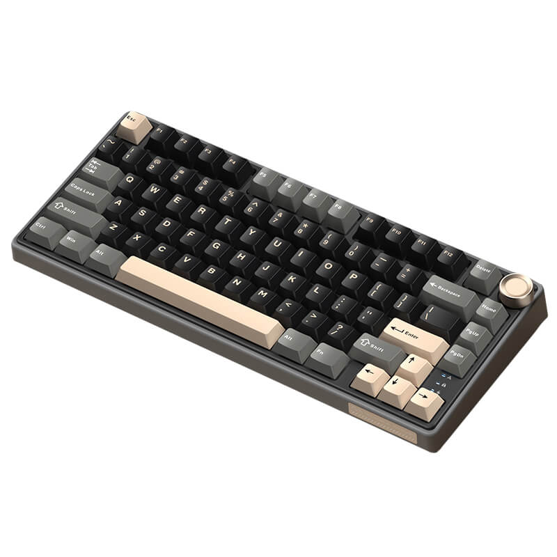 Royal Kludge RKR75 - Mechanisch RGB Gaming Toetsenbord - Foam Touch- Inclusief Stofkap