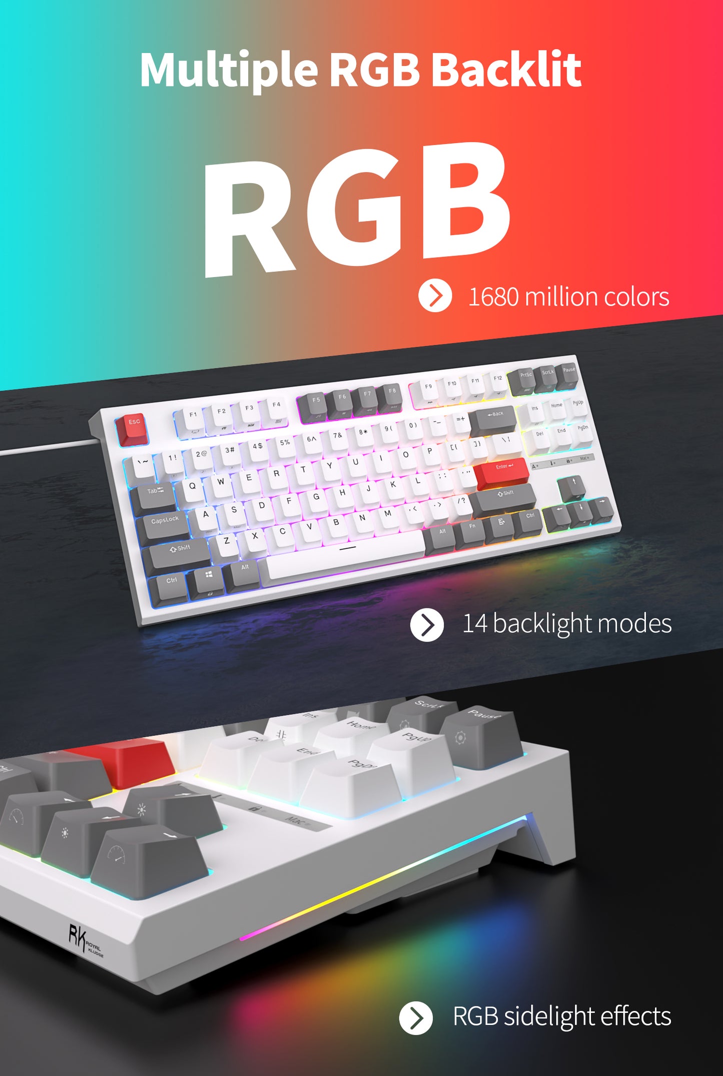 Royal Kludge RKR87 - Bedraad Mechanisch Toetsenbord - Aanpasbare RGB - Foam Touch