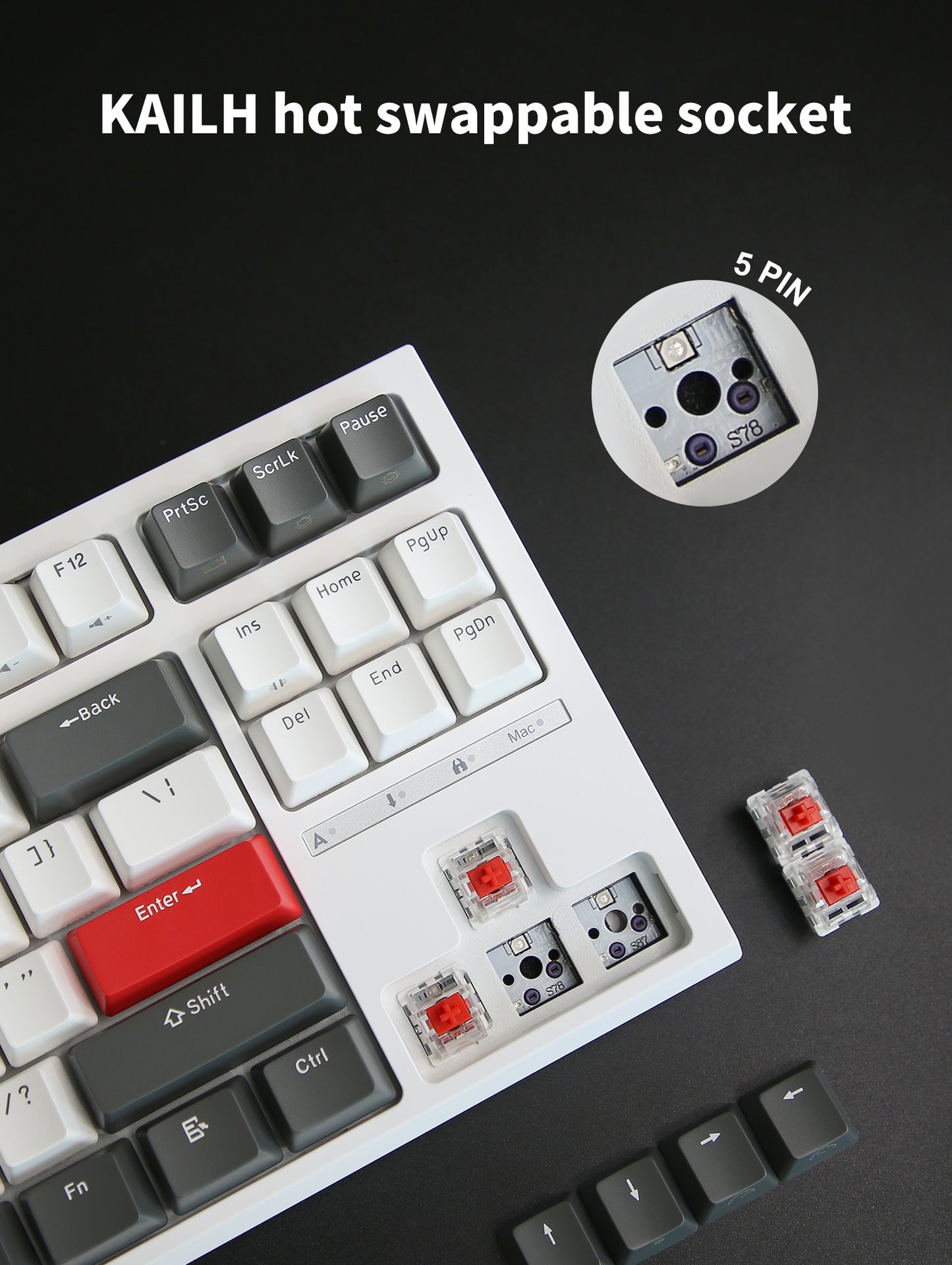 Royal Kludge RKR87 - Bedraad Mechanisch Toetsenbord - Aanpasbare RGB - Foam Touch